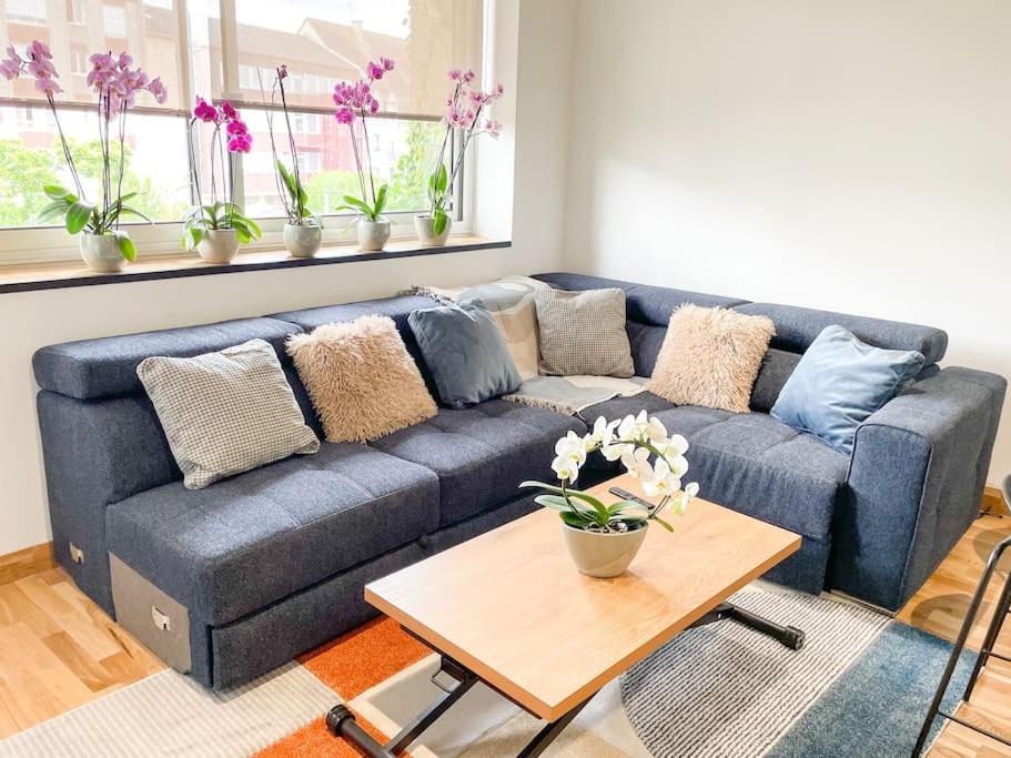 Appartement Cote Jardin - Centre Alençon Dış mekan fotoğraf